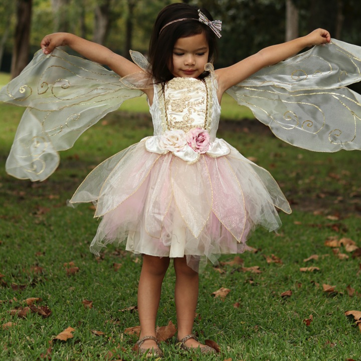 ROBE FÉE PRINCESSE ROSE DORÉ  5-6 ANS