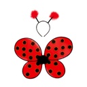 AILES DE COCCINELLE &amp; BANDEAU