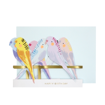 CARTE ACCORDEON PERRUCHES